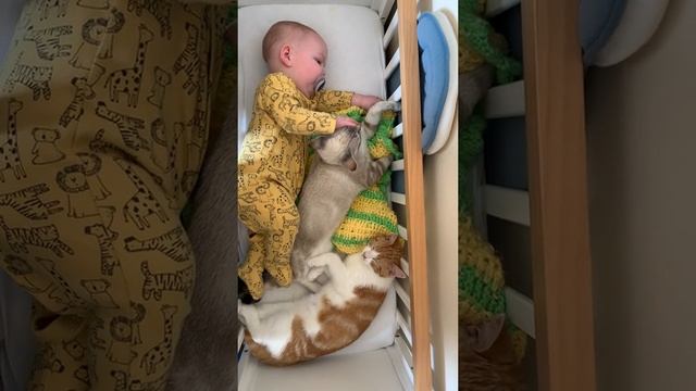 Первая обложка