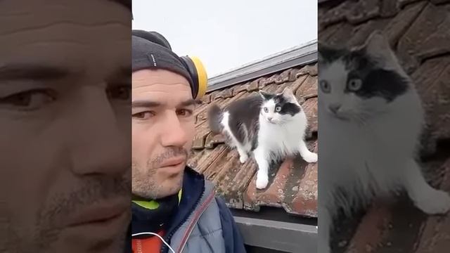Первая обложка