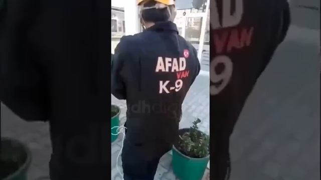 Первая обложка