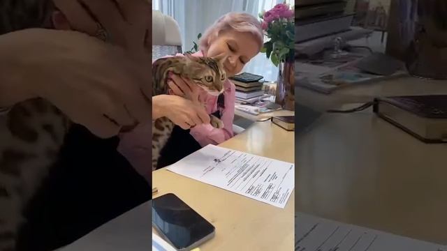 Первая обложка