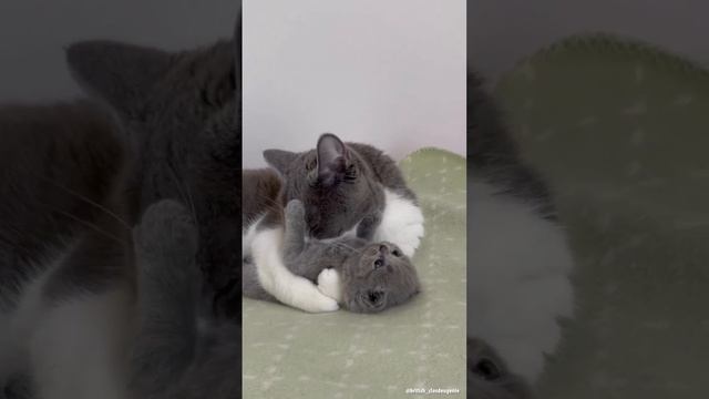 Первая обложка