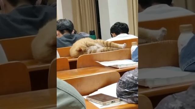 Первая обложка