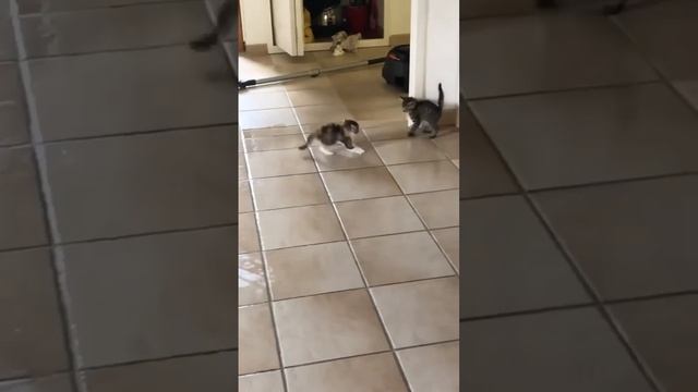 Первая обложка