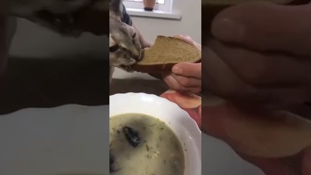 Первая обложка