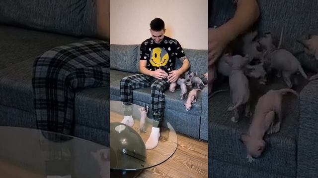 Первая обложка
