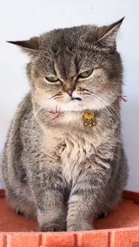 Первая обложка